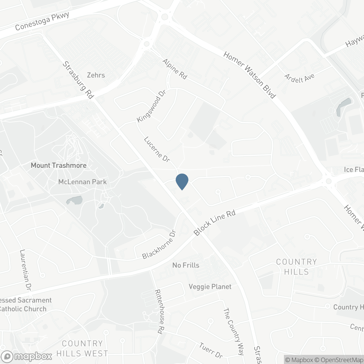 165 SELKIRK Drive, Kitchener, Ontario N2E 1M5